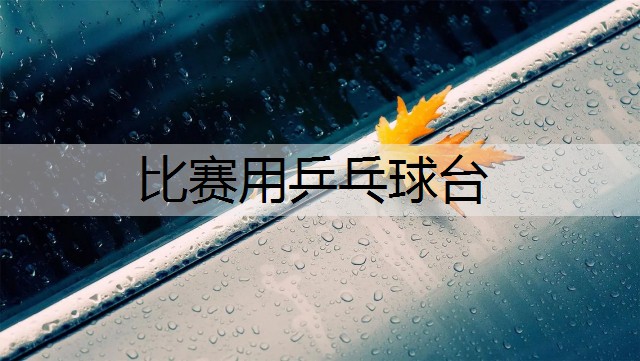 比赛用乒乓球台