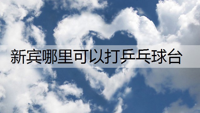 新宾哪里可以打乒乓球台