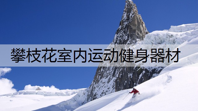 攀枝花室内运动健身器材