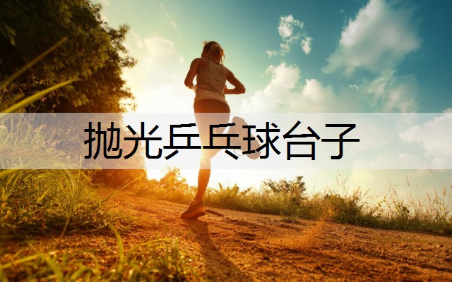 抛光乒乓球台子