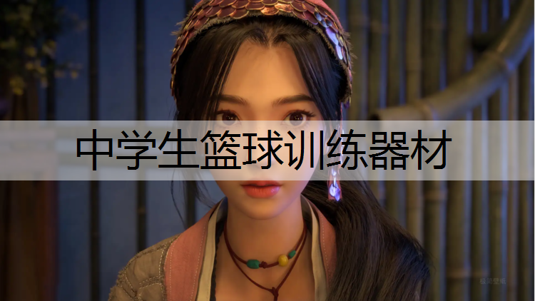 中学生篮球训练器材