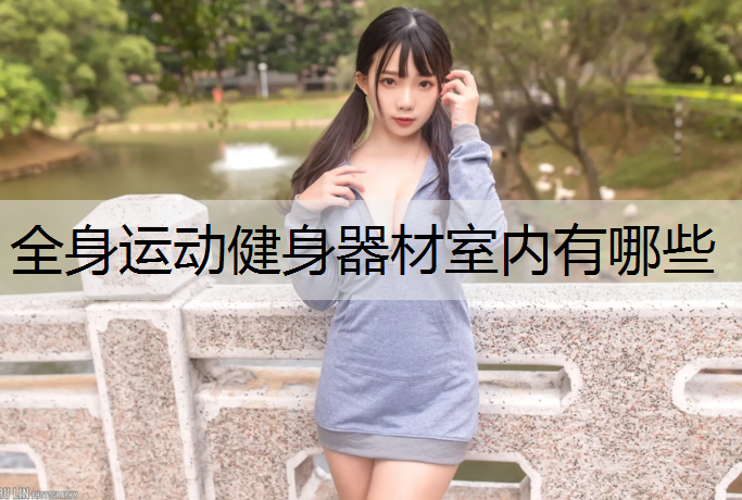 全身运动健身器材室内有哪些