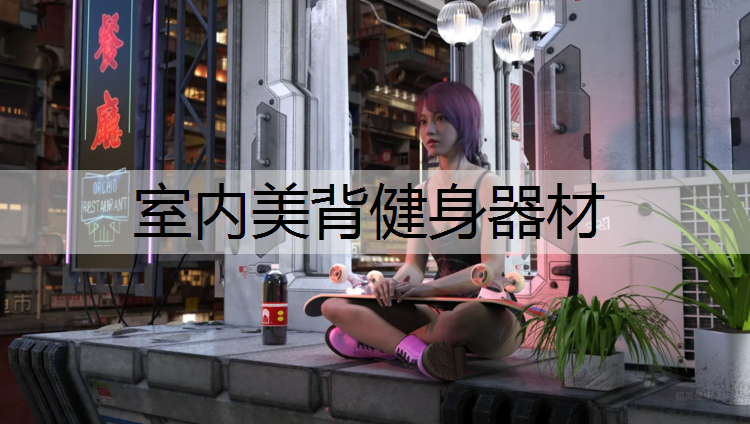 室内美背健身器材