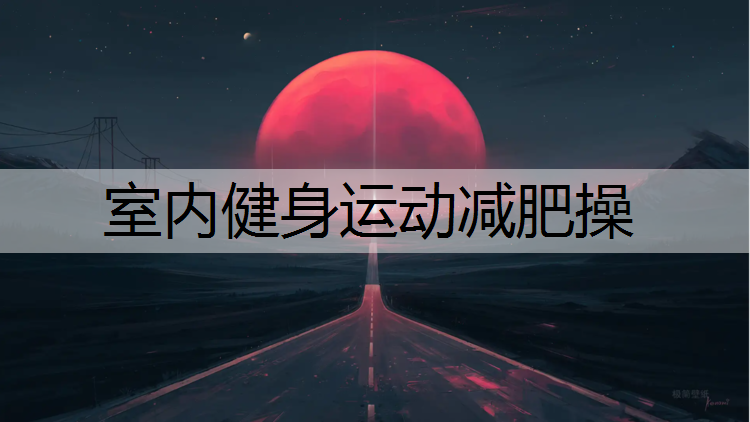 室内健身运动减肥操
