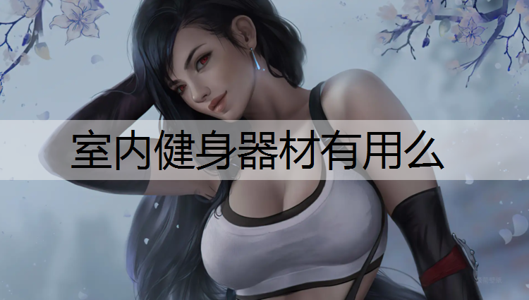 室内健身器材有用么