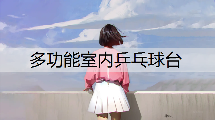 多功能室内乒乓球台