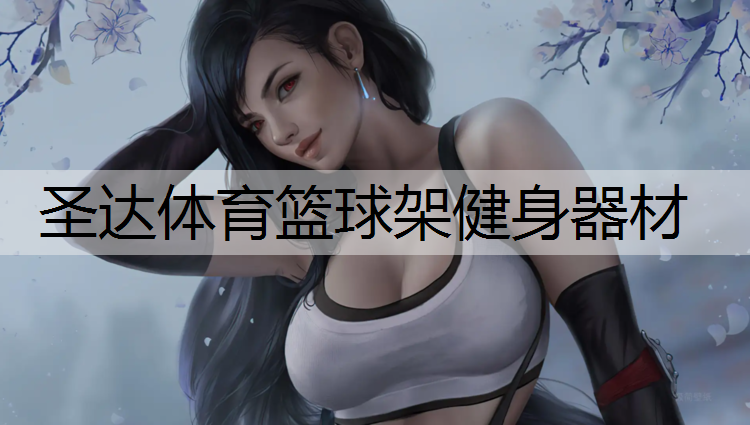圣达体育篮球架健身器材