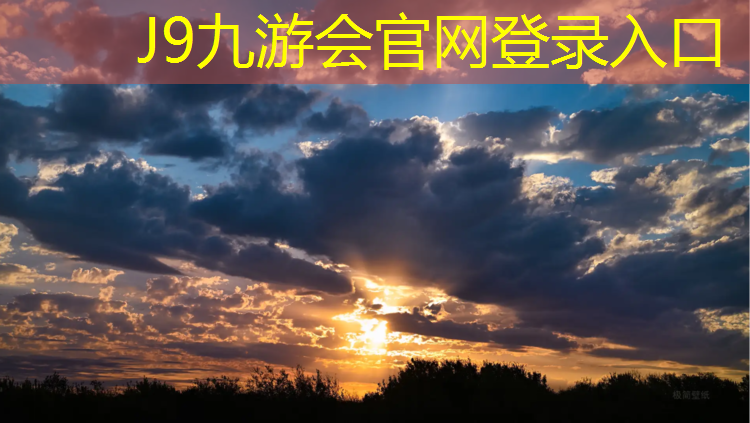 J9九游会真人游戏第一品牌：荔枝纹塑胶跑道