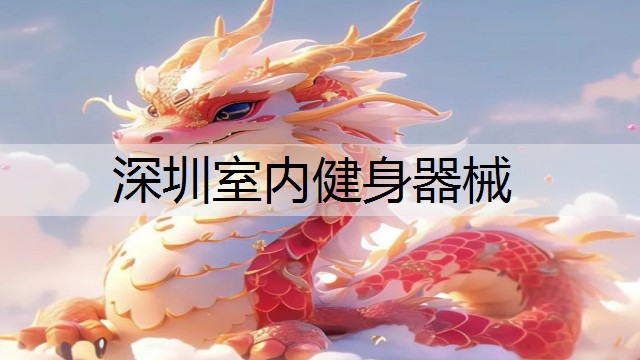 深圳室内健身器械