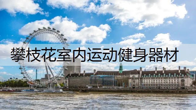 攀枝花室内运动健身器材
