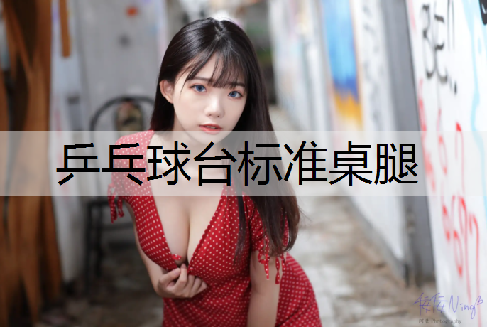 乒乓球台标准桌腿
