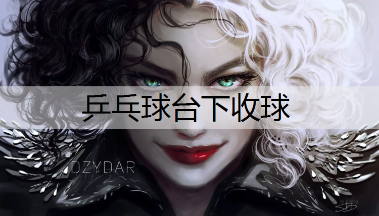 乒乓球台下收球