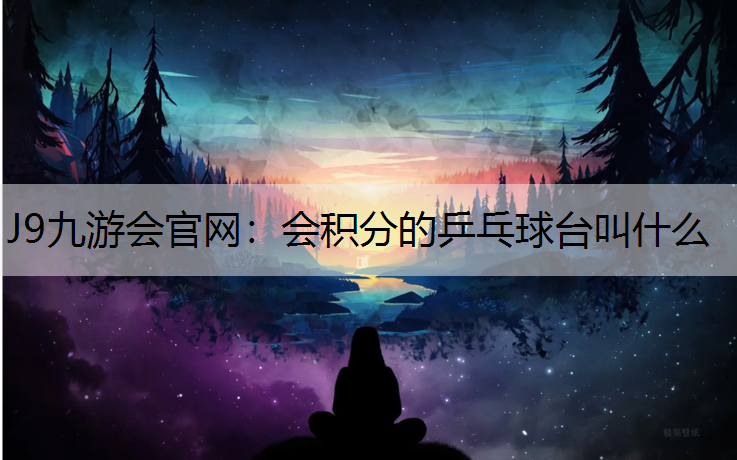 会积分的乒乓球台叫什么