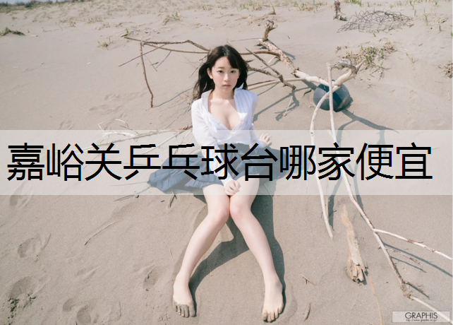 嘉峪关乒乓球台哪家便宜
